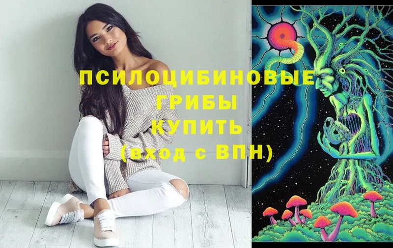 Галлюциногенные грибы MAGIC MUSHROOMS  как найти   hydra ссылки  Абдулино 